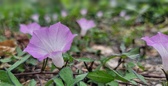 Enlarge photo 74
