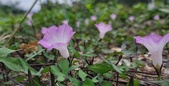 Enlarge photo 75