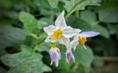 Enlarge photo 31
