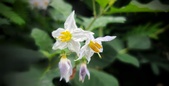 Enlarge photo 30