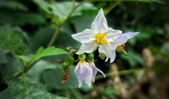 Enlarge photo 26