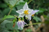 Enlarge photo 27