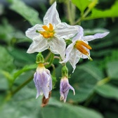Enlarge photo 24