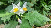 Enlarge photo 18