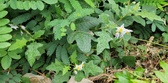Enlarge photo 15