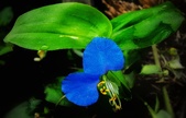Enlarge photo 65