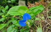 Enlarge photo 61