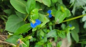 Enlarge photo 63