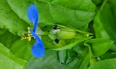 Enlarge photo 60