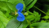 Enlarge photo 58