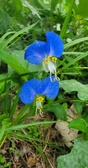 Enlarge photo 56