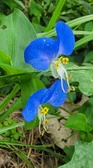 Enlarge photo 57