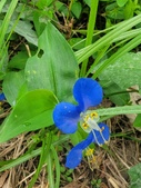Enlarge photo 52