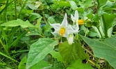 Enlarge photo 53