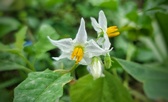Enlarge photo 11