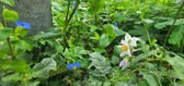 Enlarge photo 50