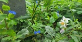 Enlarge photo 49