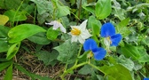 Enlarge photo 48