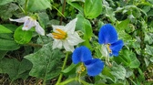 Enlarge photo 47