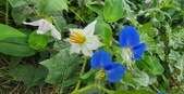 Enlarge photo 45