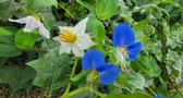 Enlarge photo 46