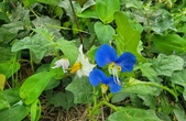 Enlarge photo 44