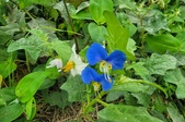 Enlarge photo 43