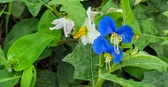 Enlarge photo 42