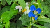Enlarge photo 41