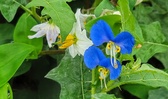 Enlarge photo 40