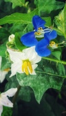 Enlarge photo 39