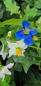 Enlarge photo 38