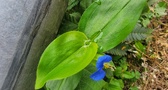 Enlarge photo 37