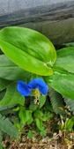 Enlarge photo 36