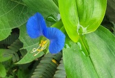 Enlarge photo 34