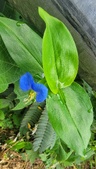 Enlarge photo 35
