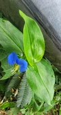 Enlarge photo 33