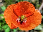 Enlarge photo 33