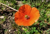 Enlarge photo 32