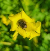 Enlarge photo 31