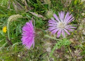 Enlarge photo 26