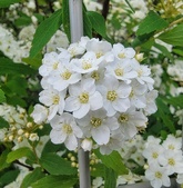 Enlarge photo 27