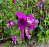 Enlarge photo 28