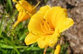 Enlarge photo 12