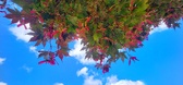 Enlarge photo 38