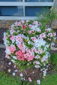 Enlarge photo 29