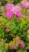 Enlarge photo 43