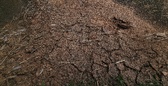 Enlarge photo 47