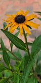 Enlarge photo 48