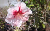 Enlarge photo 42